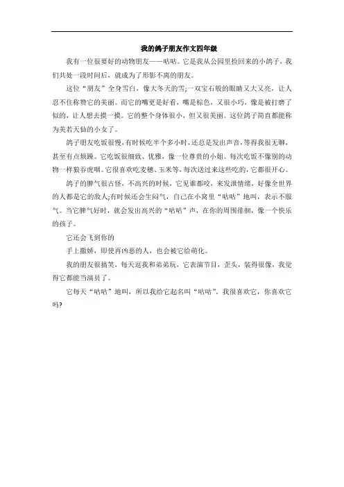 我的鸽子朋友作文四年级