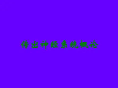 传出神经系统概论