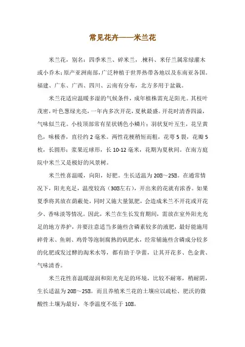 常见花卉——米兰花