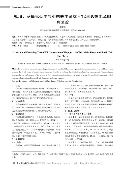 杜泊、萨福克公羊与小尾寒羊杂交F1 代生长性能及肥育试验