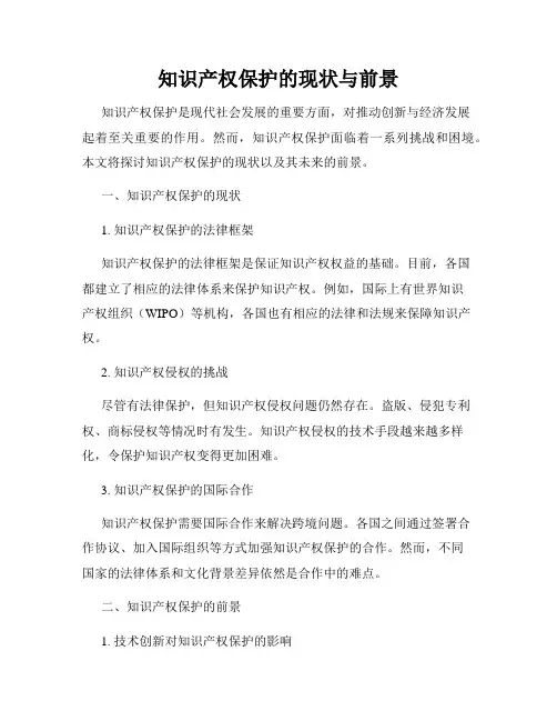 知识产权保护的现状与前景