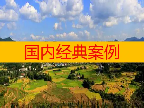 乡村旅游成功经典案例  乡村旅游度假项目研究分析 乡村旅游项目模式案例分析