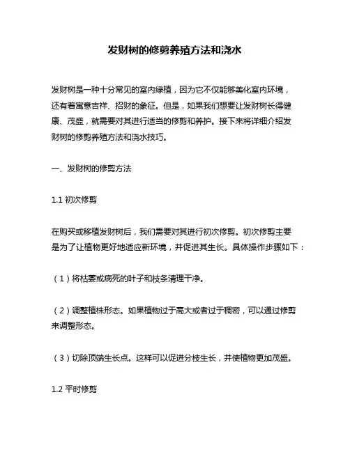 发财树的修剪养殖方法和浇水