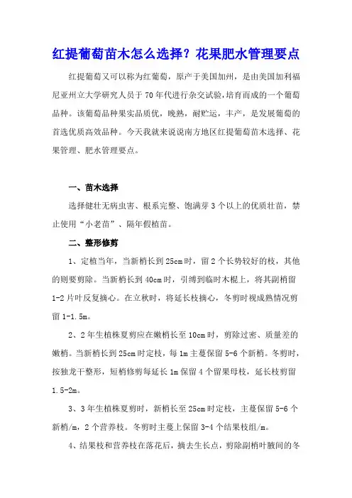 红提葡萄苗木怎么选择？花果肥水管理要点