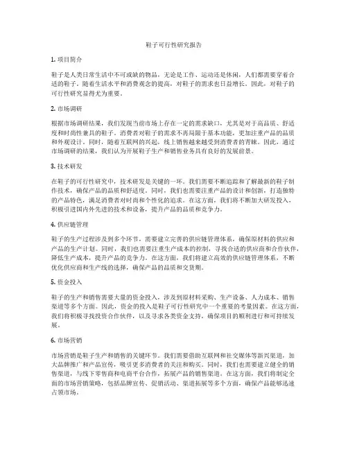 鞋子可行性研究报告
