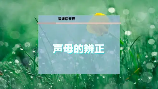 声母的辨正