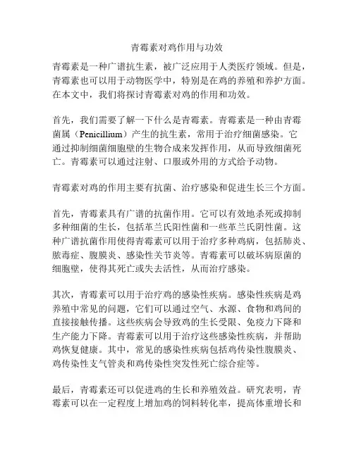 青霉素对鸡作用与功效