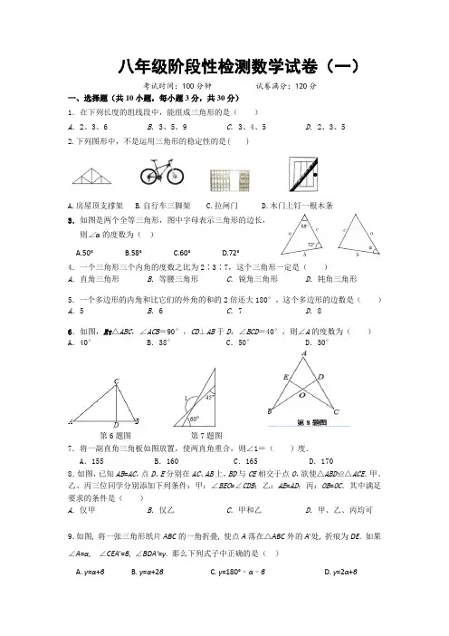 八年级阶段性检测数学试卷