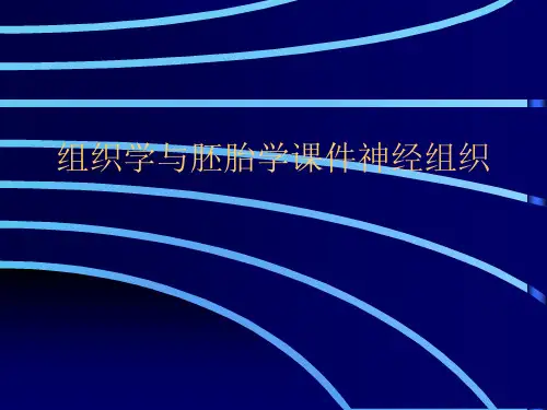 组织学与胚胎学课件神经组织