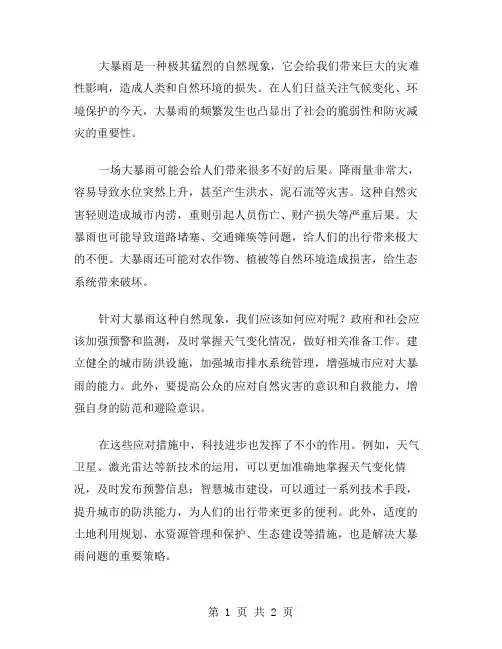 大暴雨作文范文