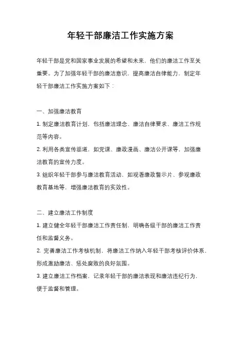 年轻干部廉洁工作实施方案