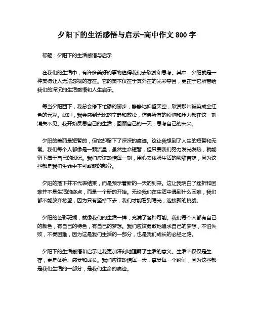 夕阳下的生活感悟与启示-高中作文800字