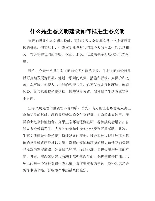 什么是生态文明建设如何推进生态文明