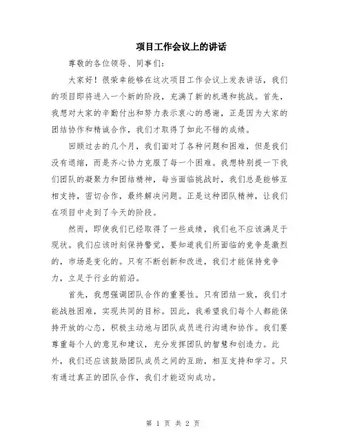 项目工作会议上的讲话