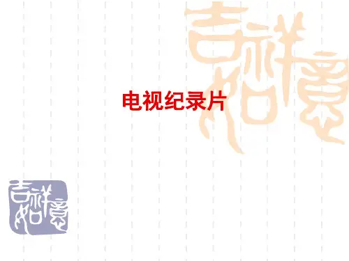 电视纪录片分析