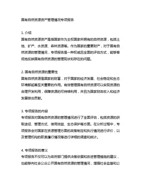 国有自然资源资产管理情况专项报告