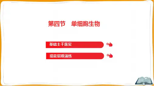 人教版七年级上册生物第二单元生物体的结构层次第二章细胞怎样构成生物体第四节单细胞生物