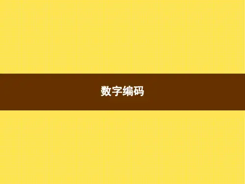 三年级上册数学习题课件-数字编码人教版(共8张PPT)
