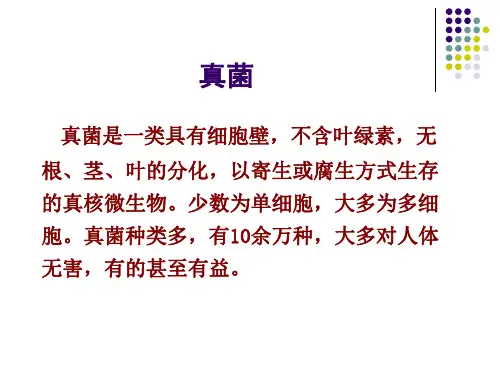 真菌课件PPT