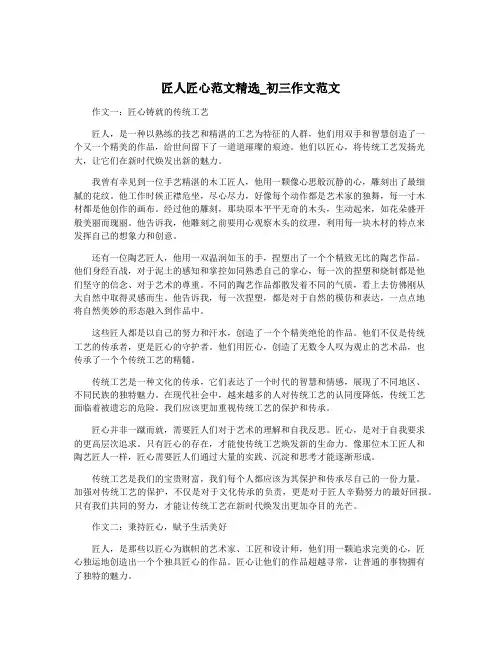 匠人匠心范文精选_初三作文范文