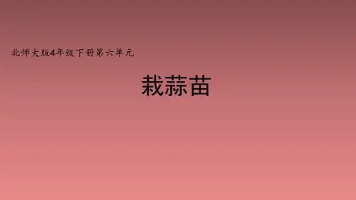 北师大版小学四年级数学下册《栽蒜苗(一)》精品课件(共16张PPT)