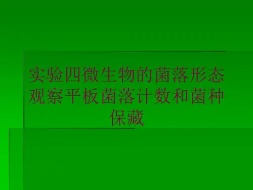 实验四微生物的菌落形态观察平板菌落计数和菌种保藏培训课件