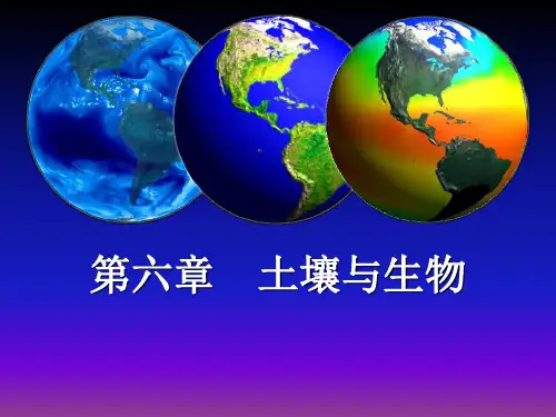 第六章 土壤地理 第一节 成土因素与主要成土过程