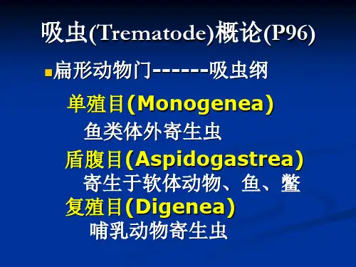 吸虫概论、肝吸虫、姜片吸虫课件
