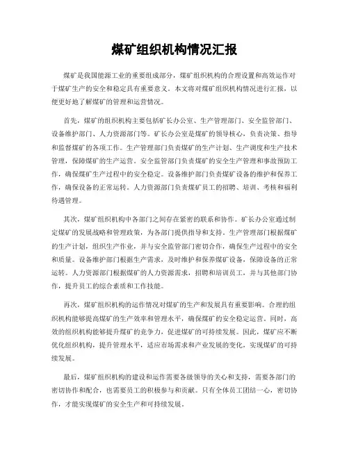 煤矿组织机构情况汇报