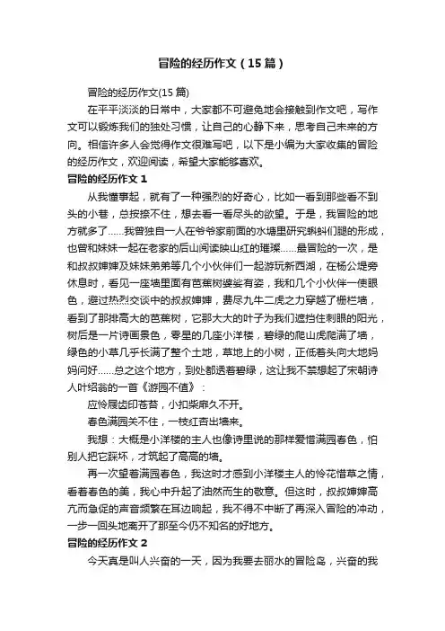 冒险的经历作文（15篇）