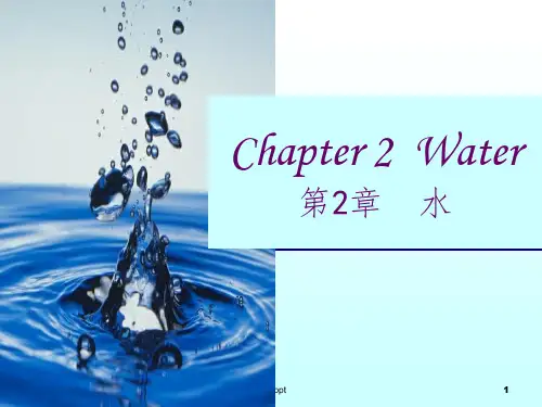 课件02食品化学中水