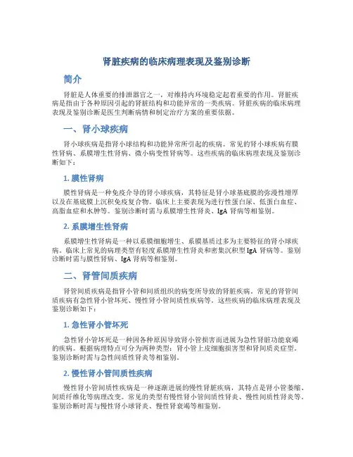 肾脏疾病的临床病理表现及鉴别诊断
