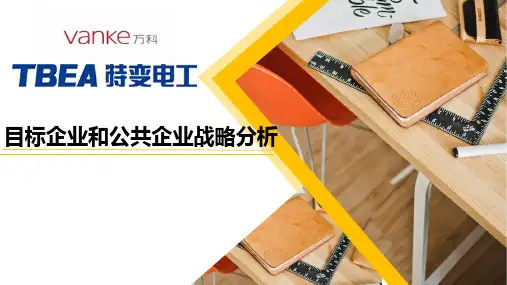 特变电工战略分析