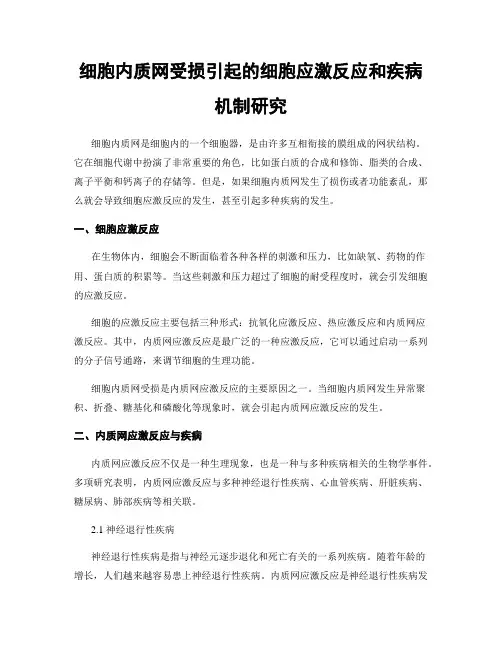 细胞内质网受损引起的细胞应激反应和疾病机制研究