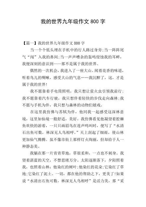我的世界九年级作文800字