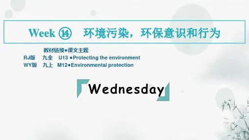 中考英语阅读复习Week14--Wednesday课件