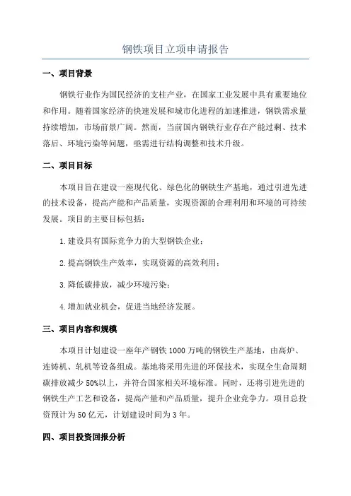 钢铁项目立项申请报告