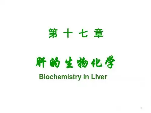 第十七章 肝的生物化学-yu