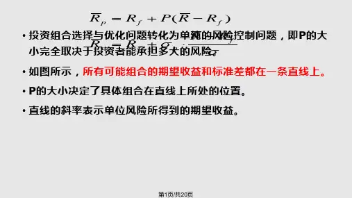 投资组合理论第五讲PPT课件