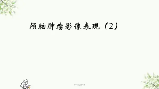 后颅窝肿瘤课件