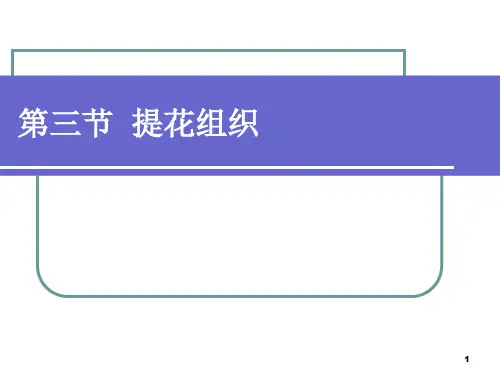 横机组织