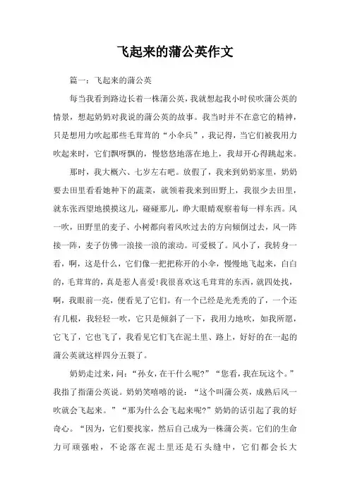 飞起来的蒲公英作文
