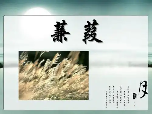 《蒹葭》 精品PPT课件4(共23张)