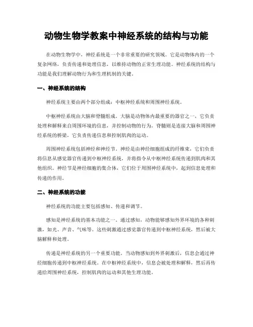 动物生物学教案中神经系统的结构与功能