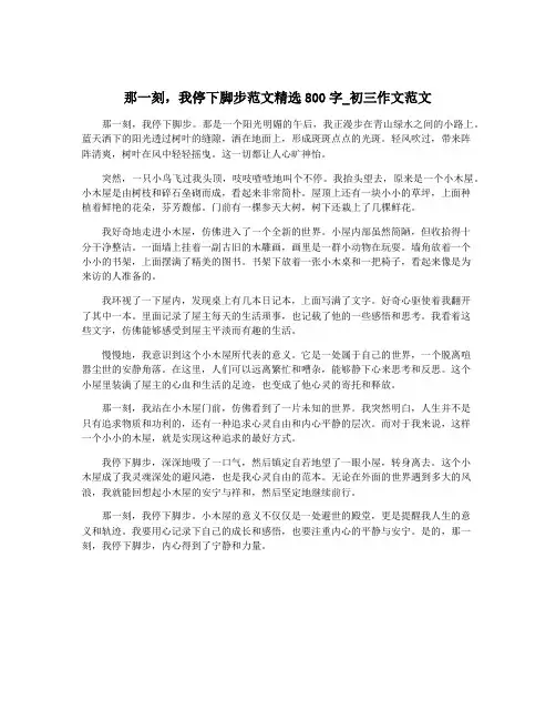 那一刻,我停下脚步范文精选800字_初三作文范文