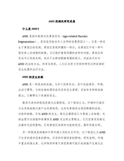 AMD的病机研究进展