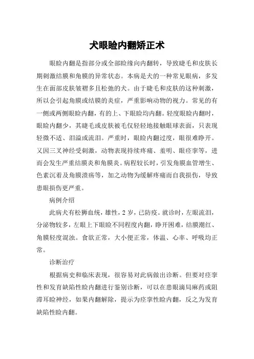 犬眼睑内翻矫正术