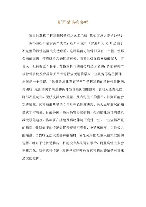 折耳猫毛病多吗