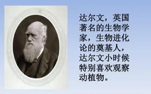 最新文档-三年级上册品德课件-1.2 我的兴趣特长 2 冀教版 (共14张PPT)-PPT精品文档