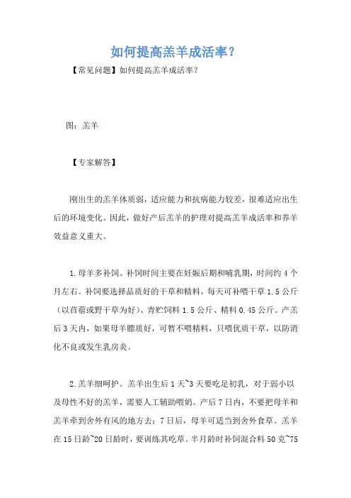 如何提高羔羊成活率？